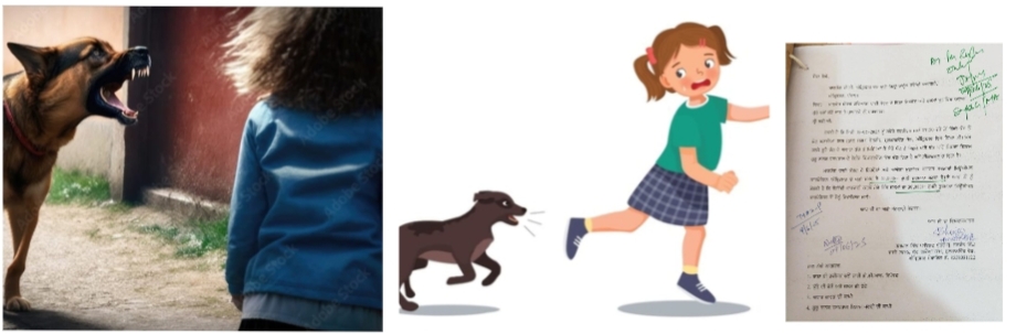 Stray dogs terror in Dasuha's Krishna Colony - difficult for children to step out of the house.